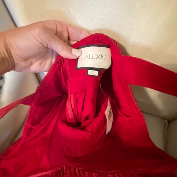 Alexis marilou crinkle mini-dress - Picture 8 of 11